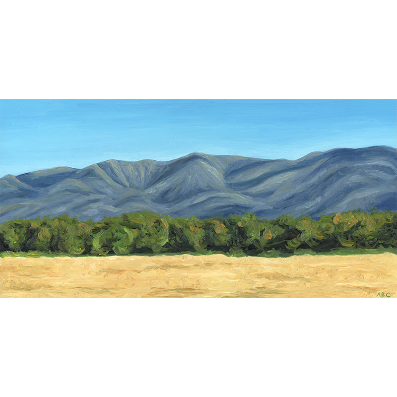 Mountains from Ellwood - Fine Art Print